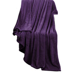 DreamZ 320GSM 220x240cm Ultra Soft Mink Blanket Warm Throw in Aubergine Colour