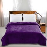 DreamZ 320GSM 220x240cm Ultra Soft Mink Blanket Warm Throw in Aubergine Colour